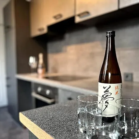 Van Gogh Duplex Eindhoven-nuenen Διαμέρισμα *